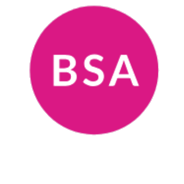 BSA Assessments Standard Construction logo