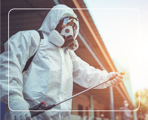 Asbestos Removal Process